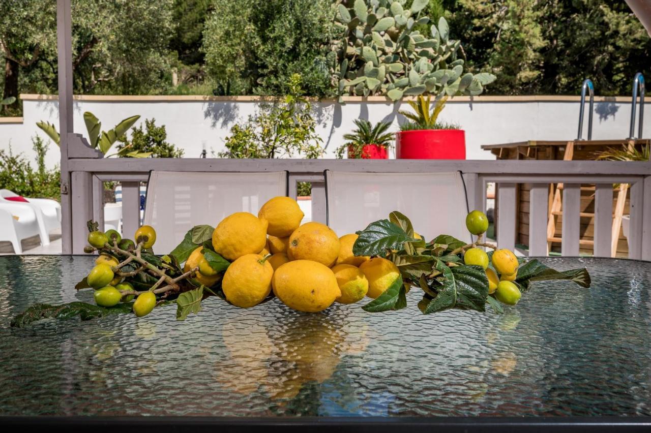 Villa Gagliardetta Castellammare del Golfo Dış mekan fotoğraf
