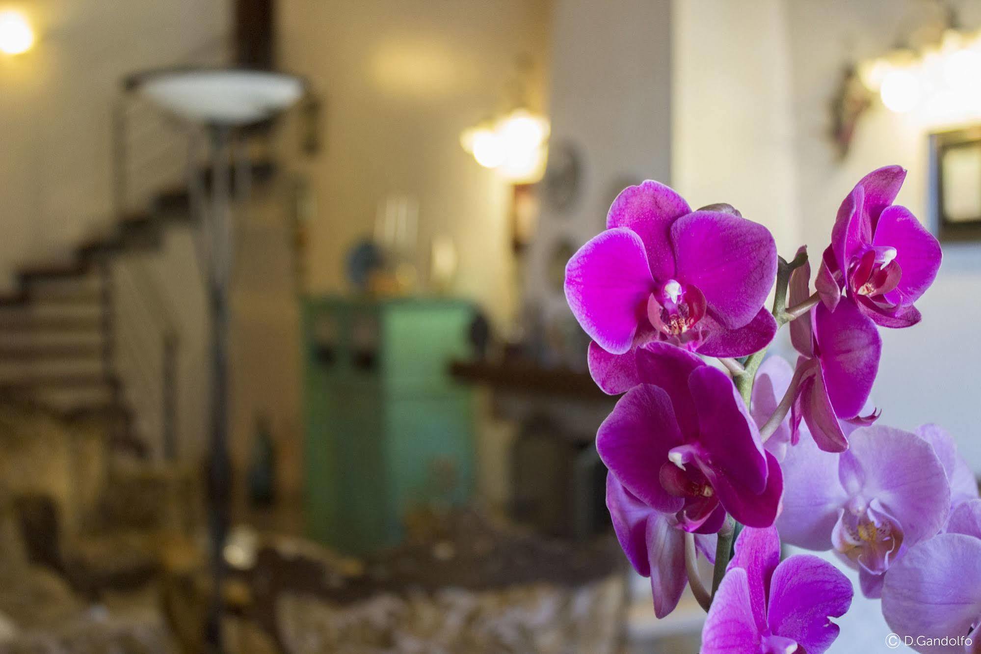 Villa Gagliardetta Castellammare del Golfo Dış mekan fotoğraf